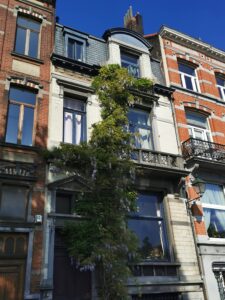 Street of Brussels