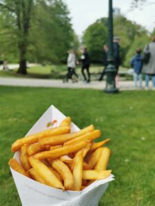 Belgian fries