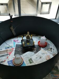 IMG_20220505_145032