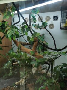 IMG_20220505_145237